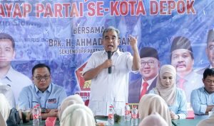 Ahmad Muzani